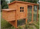 Backyard Chicken Coop