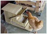 Automatic Chicken Feeder Design