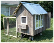 Free Chicken Tractor Plans