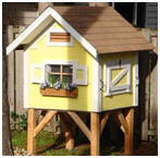 Free Chicken Coop Building Plans