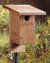 Do It Yourself Bluebird House