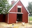 Goat Barn Plans
