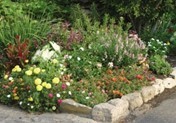 Flower Garden