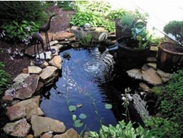 Water Garden