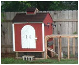 Backyard Chicken Barn Building Guide