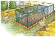 Mobile Chicken Coop