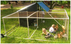 DIY PVC Chicken Pasture Pen