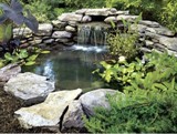DIY Water Garden Plans