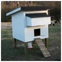 Purina Mills Chicken Coop Plans