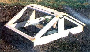 Cold Frame