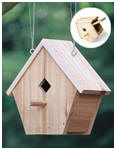 Bird House Plan