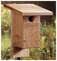 Do It Yourself Bluebird House