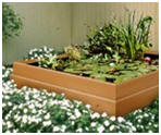 DIY Container Water Garden