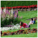 Plant a Children's Garden