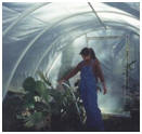 Easy-To-Build PVC Arched Greenhouse
