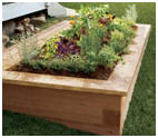 How to Build a Raised Garden Bed