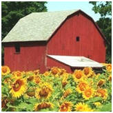 Find 117 Free Barn and Outbuilding Plans