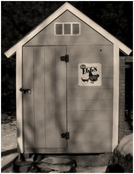 Free Plans for an Attractive, Suburban Chicken Coop from The Chicken Project