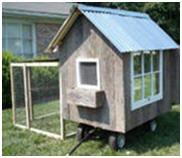 Portable Chicken Coop Design from BackyardChickens.com