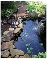 Free Water Garden and Koi Pond Building Guides and Project Plans - Build a beautiful pond in your backyard with these free how-to guides and do-it-yourself plans. Photo: Create a Water Garden with help from ExtremeHowTo.com