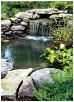 Free Water Garden and Koi Pond Building Guides and Project Plans - Build a beautiful pond in your backyard with these free how-to guides and do-it-yourself plans. Photo: This illustrated article from PopularMechanics.com will show you how to build your own pond.