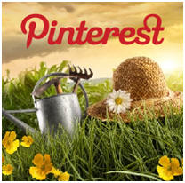 Pinterest DIY Garden Ideas