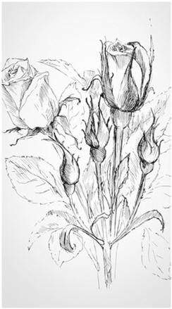 Draw and Sketch Flowers and Still Life Scenes With Ease - Click to find and follow free, easy, do it yourself lessons and demonstrations by talented artists.