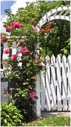 Share Free DIY Arbor and Trellis Plans - If you're thinking about building a new arbor, trellis or arbor gate, check out this list of free, do it yourself project plans and how-to guides.
