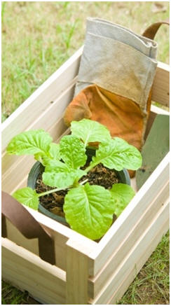 Easy, DIY Garden Tool and Accessory Projects - Build wooden storage bins, garden crates, kneelers, tool caddies, plant markers, carts and more. Click to find and print free step-by-step project plans.