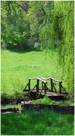 Share Free DIY Garden Bridge Plans and Building Guides - Build your own garden bridge to span a stream or wet area of your backyard or as a decorative accent for your water garden or Koi pond.