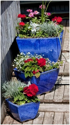 Free Container Gardening Guides - Learn how to grow and maintain beautiful, healthy gardens in planters and planter pots in little corners of your patio, deck, balcony or yard.