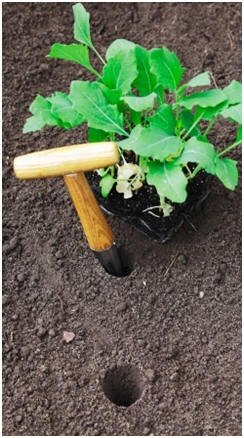 Craft Your Own Gardening Tools and Accessories - Click to find and print free project plans to help you make vegetable, flower and herb markers, kneelers, crates, dibbles, planters, garden closets and more.