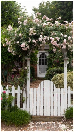 Build Your Own Fence, Gate or Screen Wall - Click to find and print free, do-it-yourself project plans.