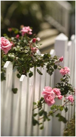 Free Do It Yourself Fence and Gate Project Plans  Build your own fence, gate or screen wall with the help of these plans and step-by-step guides.