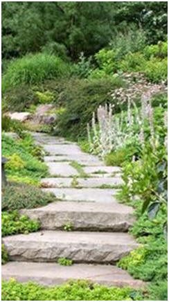 Improve Your Landscape - Click to find and follow free landscape design guides.