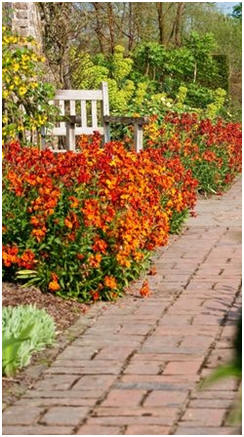 Free DIY Landscape Walk and Garden Path Building Guides - Create your own, in brick, stone or concrete with the help of these free, step-by-step guides.
