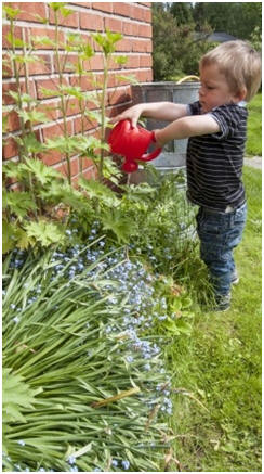 How Does Your Garden Grow? Click for free garden guides, expert advice and project plans.