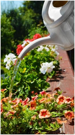 Free Garden Planter Plans and How-To-Build Guides