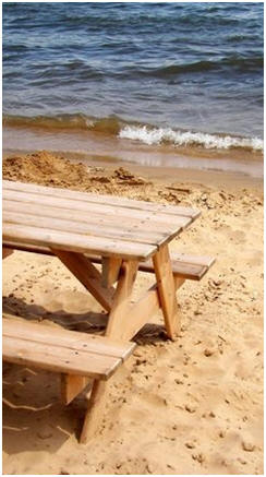 Free Picnic Table Plans - Build your own picnic table and benches. Or, build an elegant outdoor dining set for your deck, porch or patio. Choose from 64 different designs and then print do-it-yourself project plans.