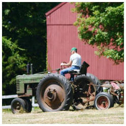 Build Your Own Chicken Coop, Hobby Greenhouse, Small Barn or Animal Shelter with the Help of Free Outbuilding Plans
