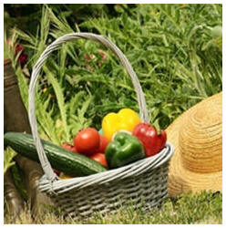 Free Gardening Guides and Project Plans