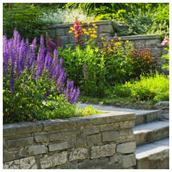 Improve your yard and landscape and increase the value of your home. With a little work and the help of these free project plans and landscape guides, you can do it yourself. 