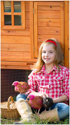 Free Chicken Coop and Country Outbuilding Plans