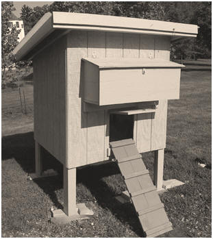 Free Chicken Coop and Hutch Plans from Purina Mills (Photo: BackyardChickens.com)