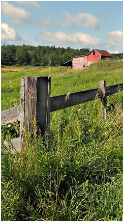 Free Landscape Photography Lessons - Just click on the barn to find and follow free photographers' tutorials that will help you capture beautiful scenes. 