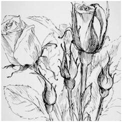Today's Free Drawing Lessons, Demonstrations, Tips and Techniques: Still Life and Flowers