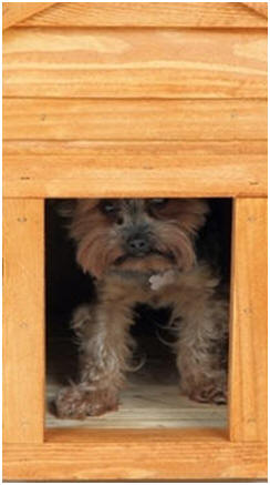 100+ Free Do It Yourself Dog House Plans and Building Guides - Build your dog a great backyard home this weekend.