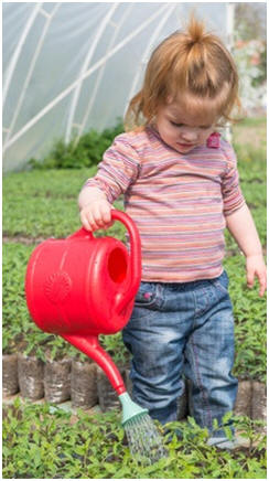 Extend your gardening season. Build your own cold frame or hobby greenhouse with any of 25 free, do-it-yourself project plans.